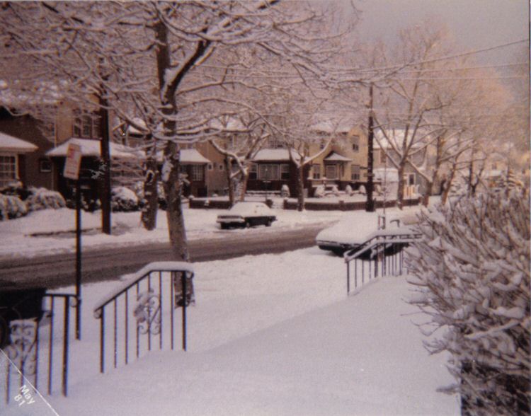 Colonial Road 8700 block looking north 1981